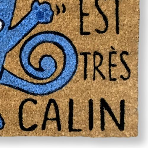 ZOOM Felpudo coco Attention au Chat, Felpudos originales Koko Doormats